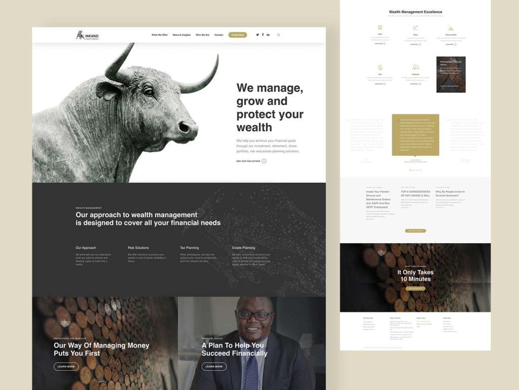 Inkunzi Wealth Web Development