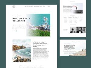 Pristine Earth Collective Web Development